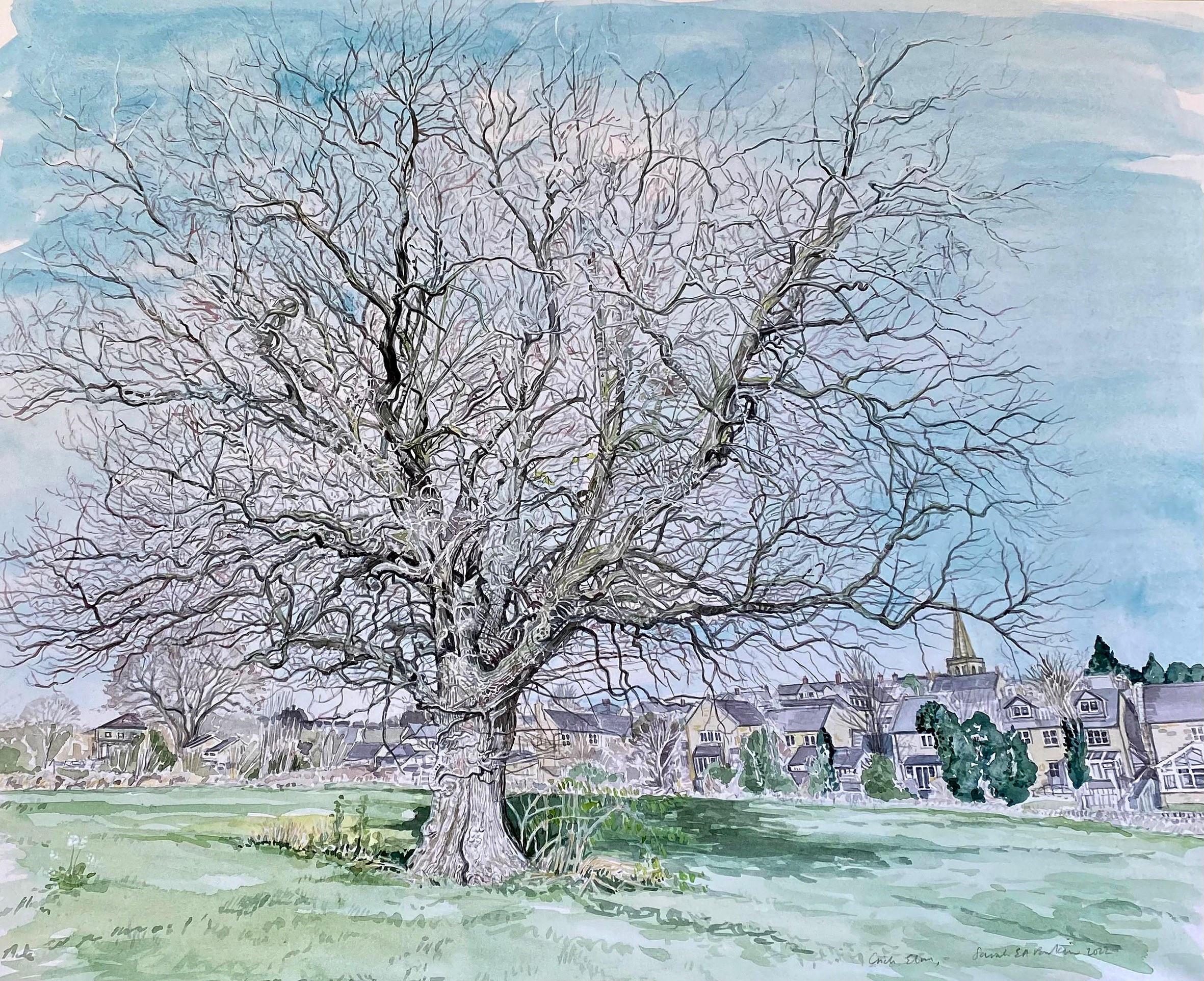 Survivor Crich ELm - Sarah Parkin